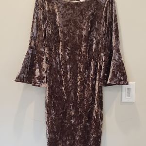 Calvin Klein Velvet Dress 8